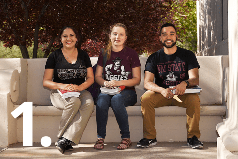 Steps to Apply to Engineering Graduate School NMSU Engineering BE