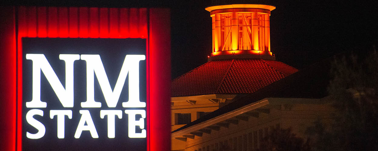 NMSU Flag